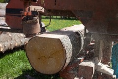 1.25″ x .042 x 7/8 Wood-Mizer Sawmill Bandsaw Blades for Portable Sawmills