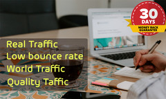 Real Website Traffic for your website or page – Human Visitors
