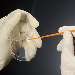 Biologix Inoculating Loops, 1μl, 10μl, 25/Bag, 1000/Case